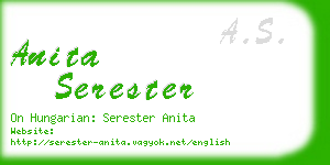 anita serester business card